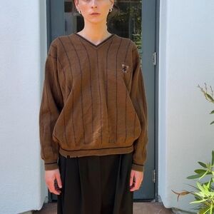 Brown V-Neck Sweater